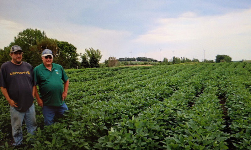 Minnesota led the nation in farm bankruptcies in the first quarter